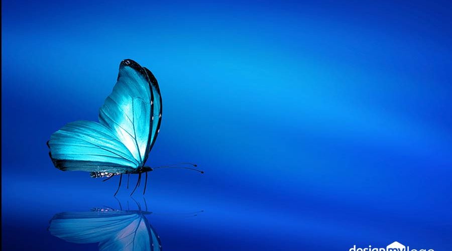 رنگ آبی در طراحی