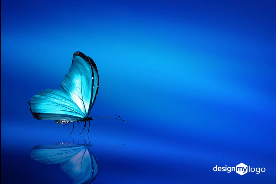 رنگ آبی در طراحی